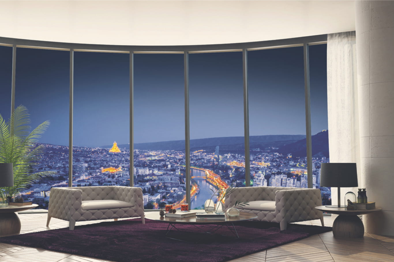 პროდუქტის ხედი 1